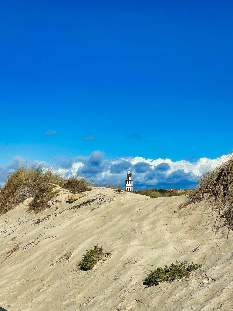 Costa Nova do Prado Düne