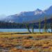 Emerald Lake