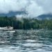 Wasserflugzeug nahe Stuart Island
